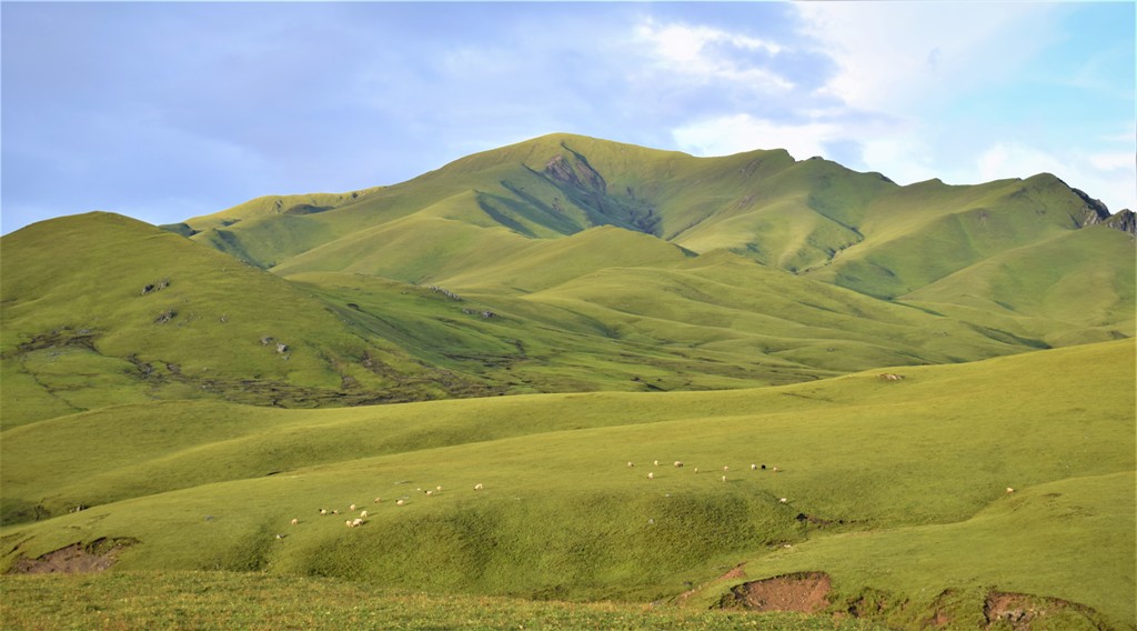 Tribeni Trekking Trail